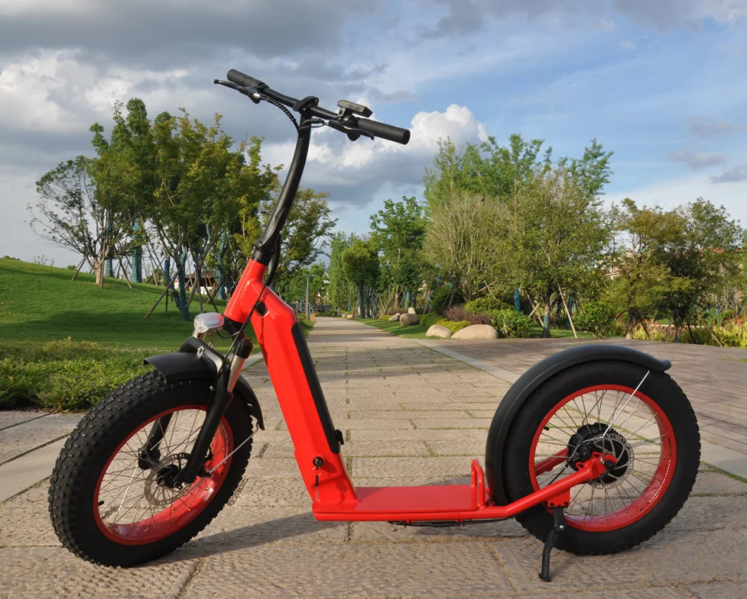 CE Certificate Fat Tire E Scooter off Road Adult Electric Scooter 500W